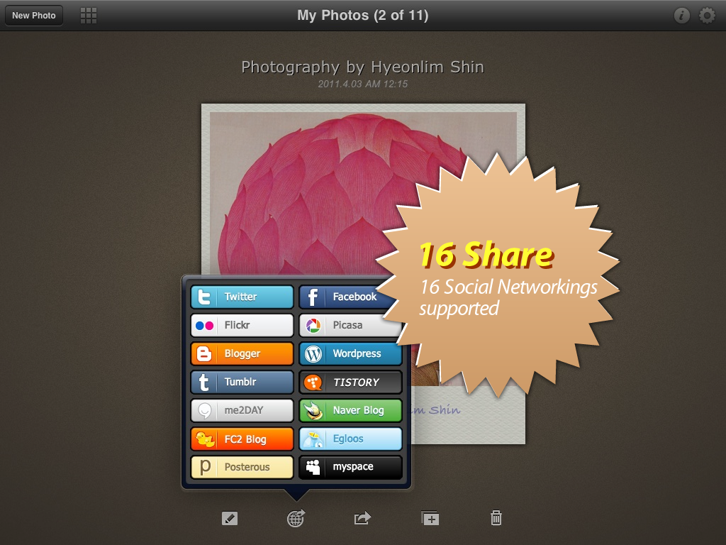 iPad